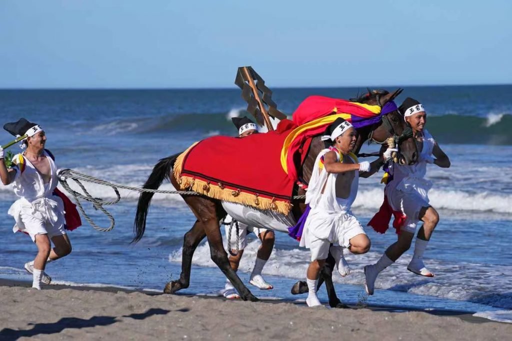 🏖️ 타이토 해수욕장 (太東海水浴場) 이미지 9